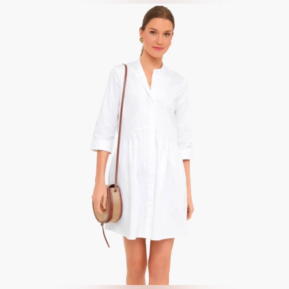 Tuckernuck Royal Shirt Dress